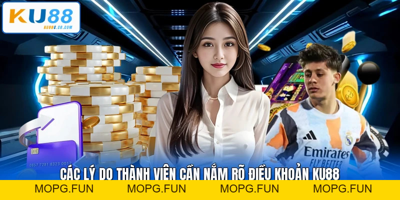 Điều Khoản Sử Dụng - Những Thay Đổi Cập Nhật Trong 2026 - MOPG