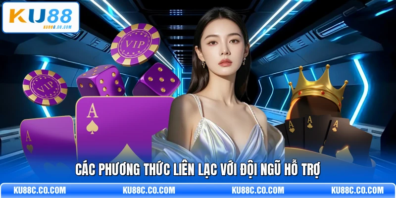 Câu Hỏi Thường Gặp - Hướng Dẫn Giải Đáp Toàn Diện Nhất - MOPG