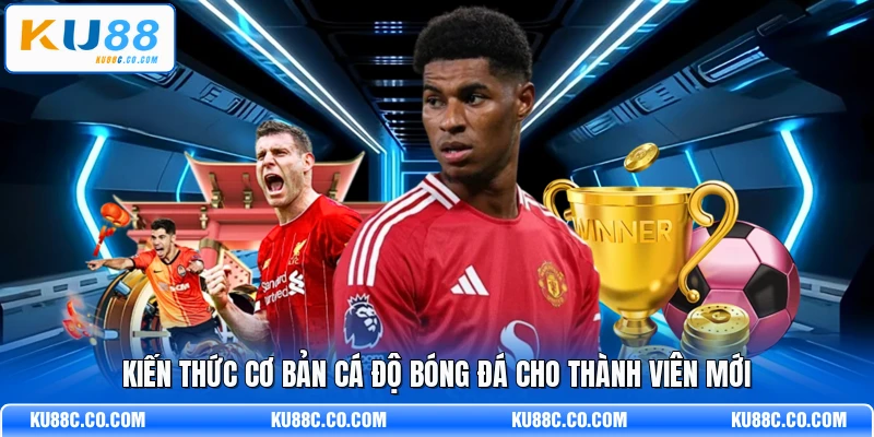Cá Độ Bóng Đá - Bí Quyết Thành Công Cho Người Mới - MOPG